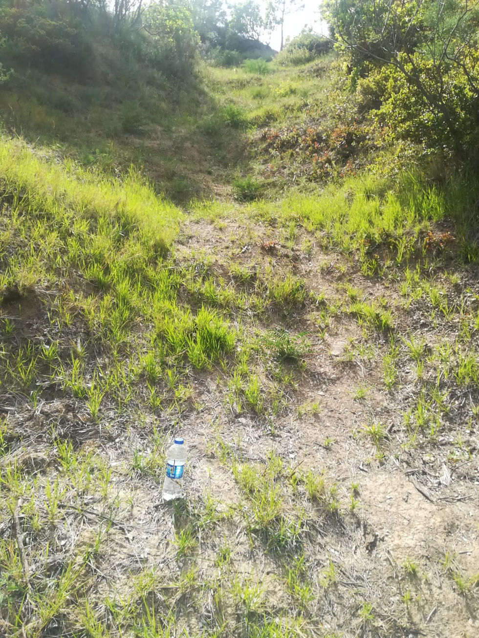 IMG-20190505-WA0012