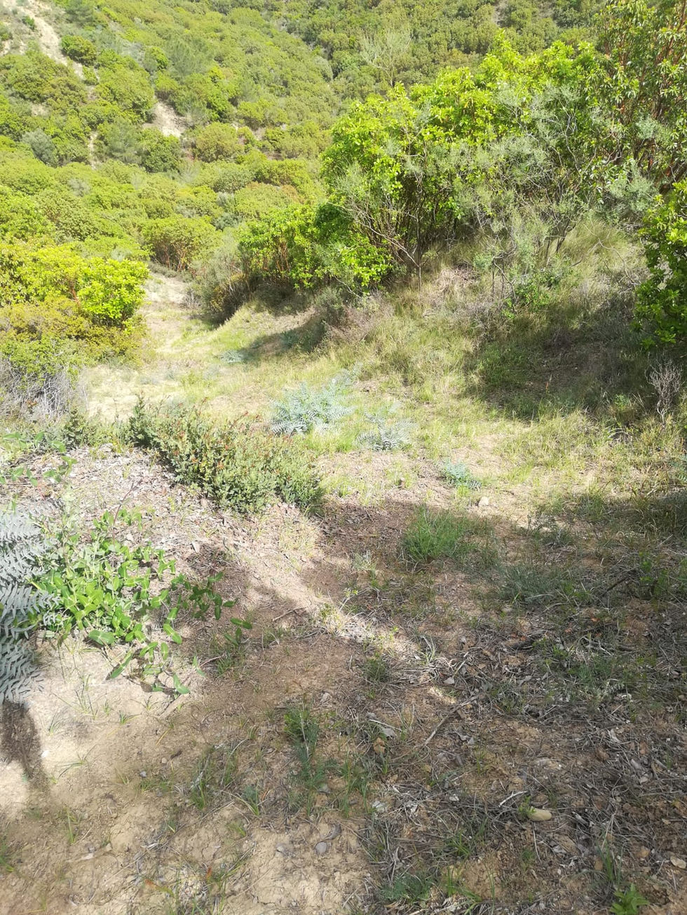 IMG-20190505-WA0017