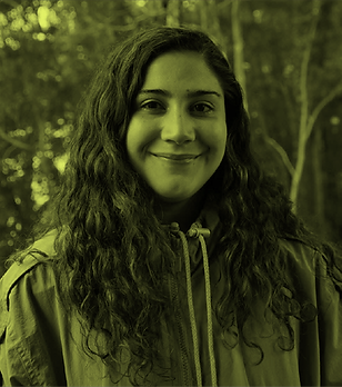 perfil 17.png