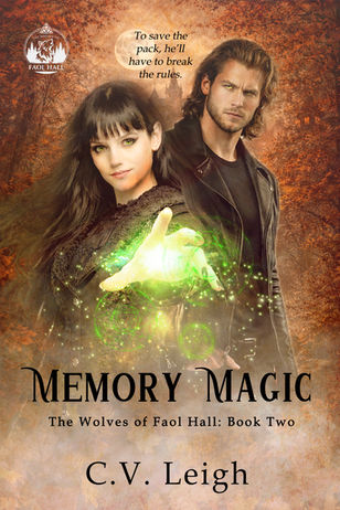 Memory Magic, C.V. Leigh, Book Cover, Novel