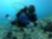 GOPR4281.JPG