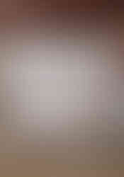 Japans bed. Plafond in donkerbruin geverfd