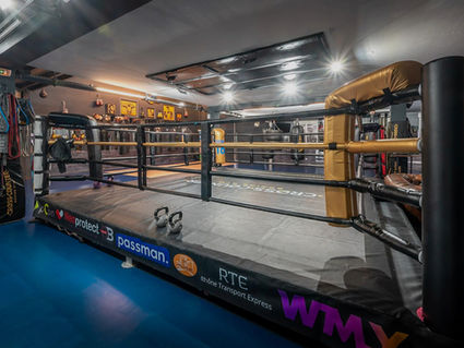 club de boxe villeurbanne