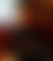 Siegel McDaniel Winner Announced