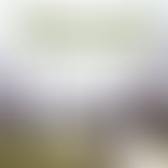 Roth Reads Moving Tribute for Audible and the Newark Public Library