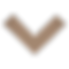 V Shape_edited.png