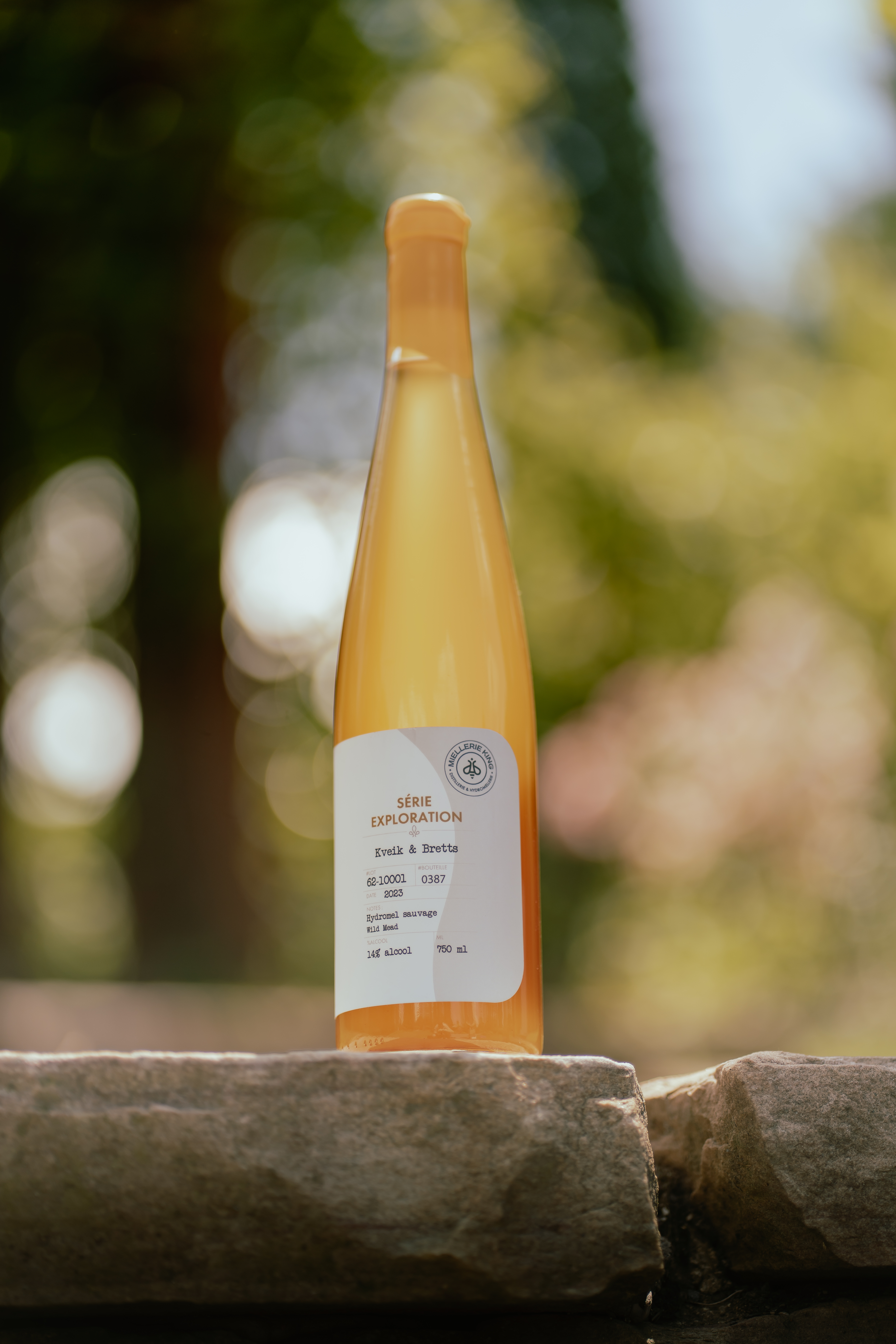 Hydromel sauvage Kveik et Bretts