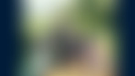 Un livre pour aider les abeilles