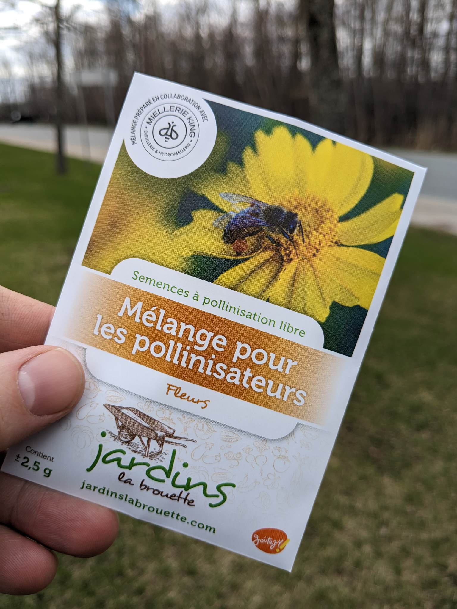 Sachet de semences de fleurs pour les pollinisateurs