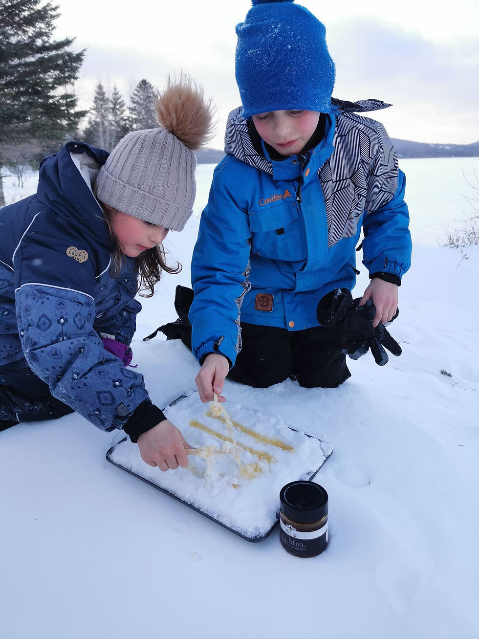 Il n'y a pas que le sirop d'érable qui se mange sur la neige pendant le temps des sucres. Il y a maintenant la tire de miel!