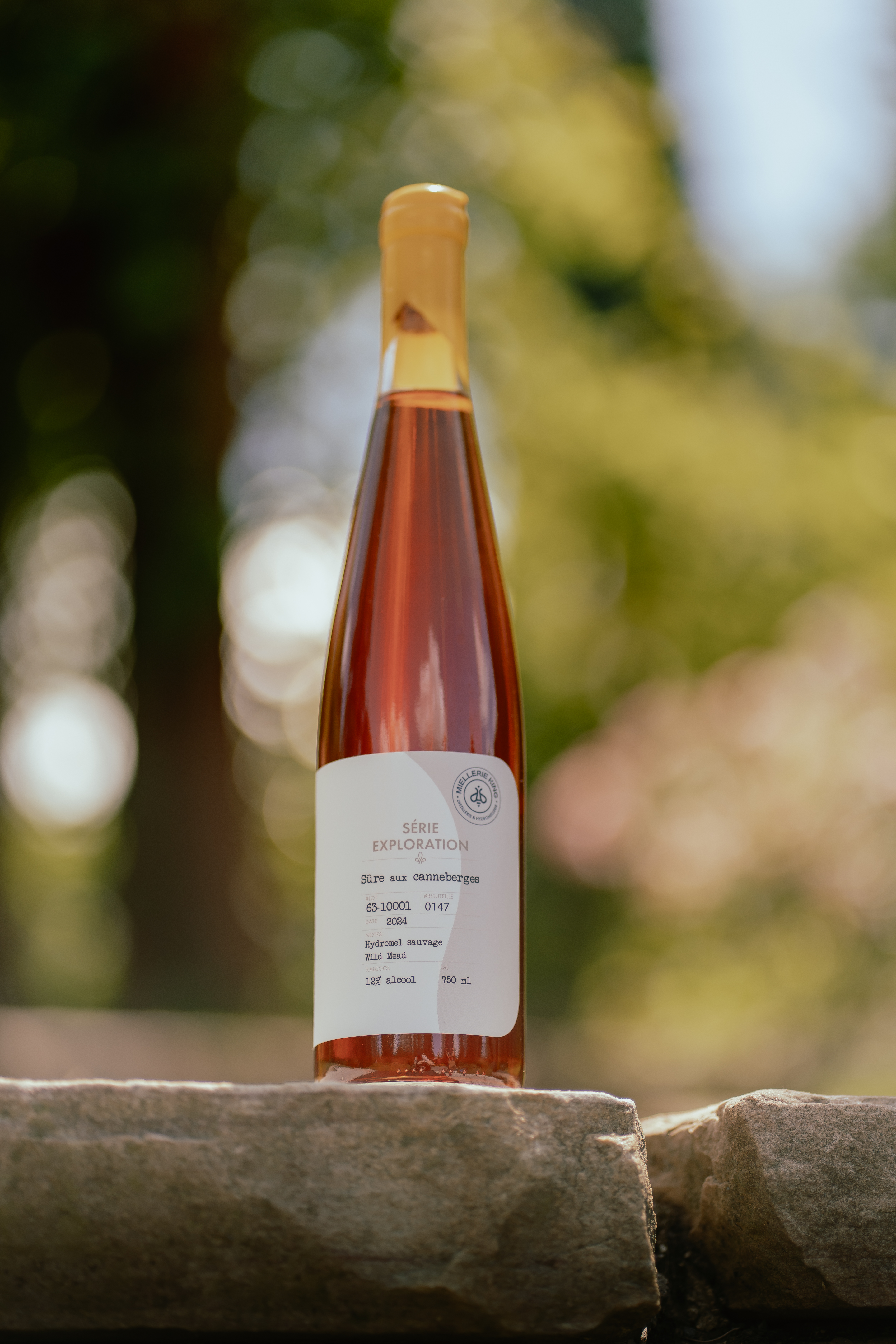 Vin de miel Sûre aux canneberges