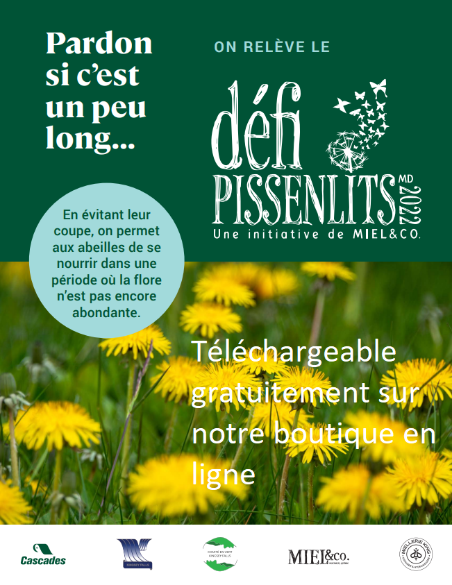 Affiche "Défi Pissenlits" (3 modèles inclus)