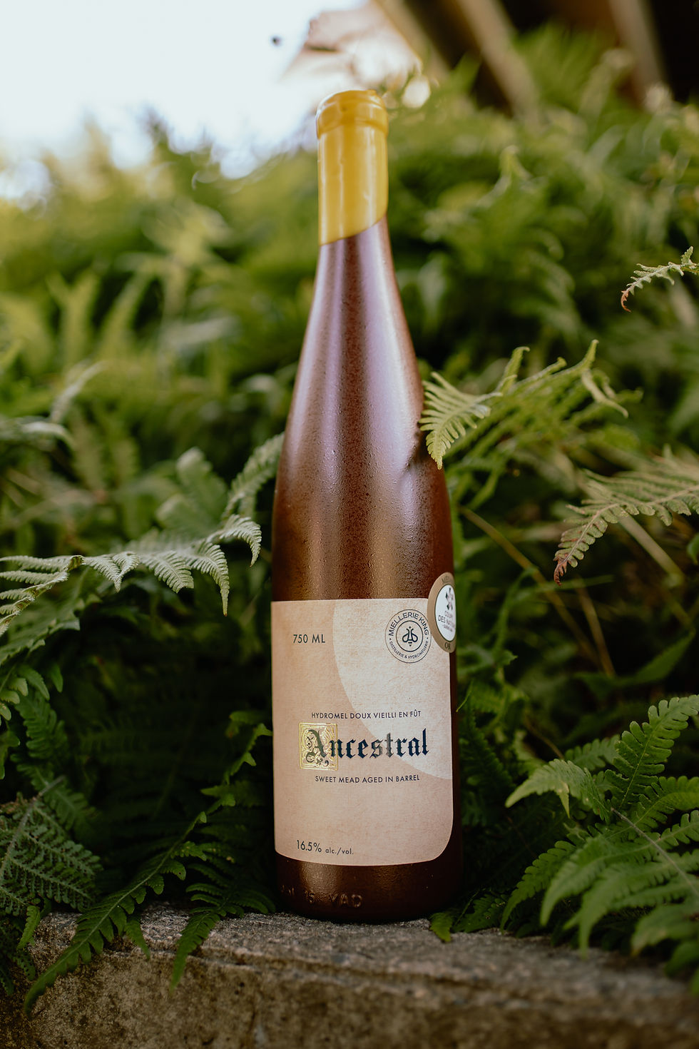 Thumbnail: Ancestral Mead - 17.5%