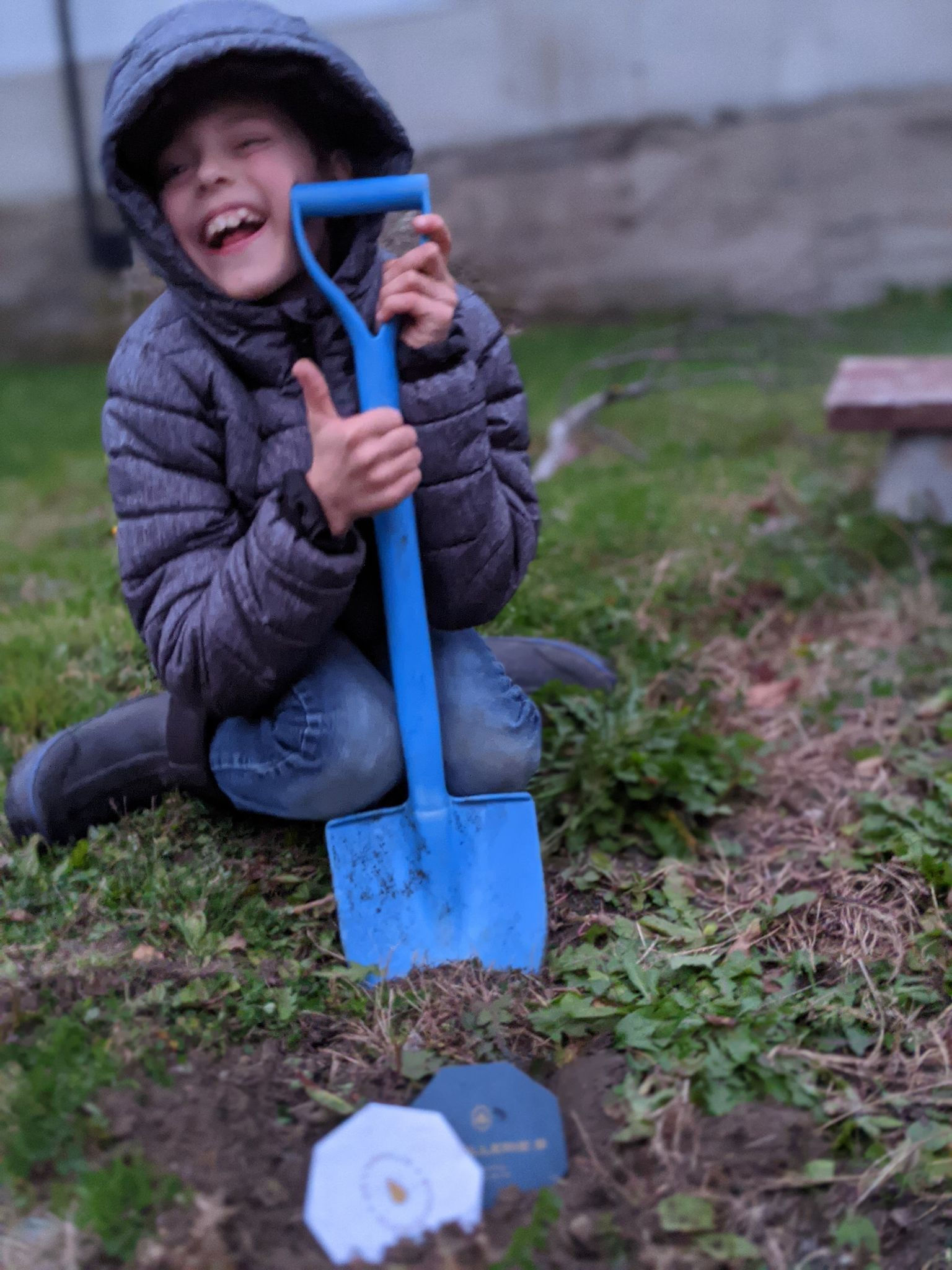 Sous-verre ensemencé de fleurs sauvages
