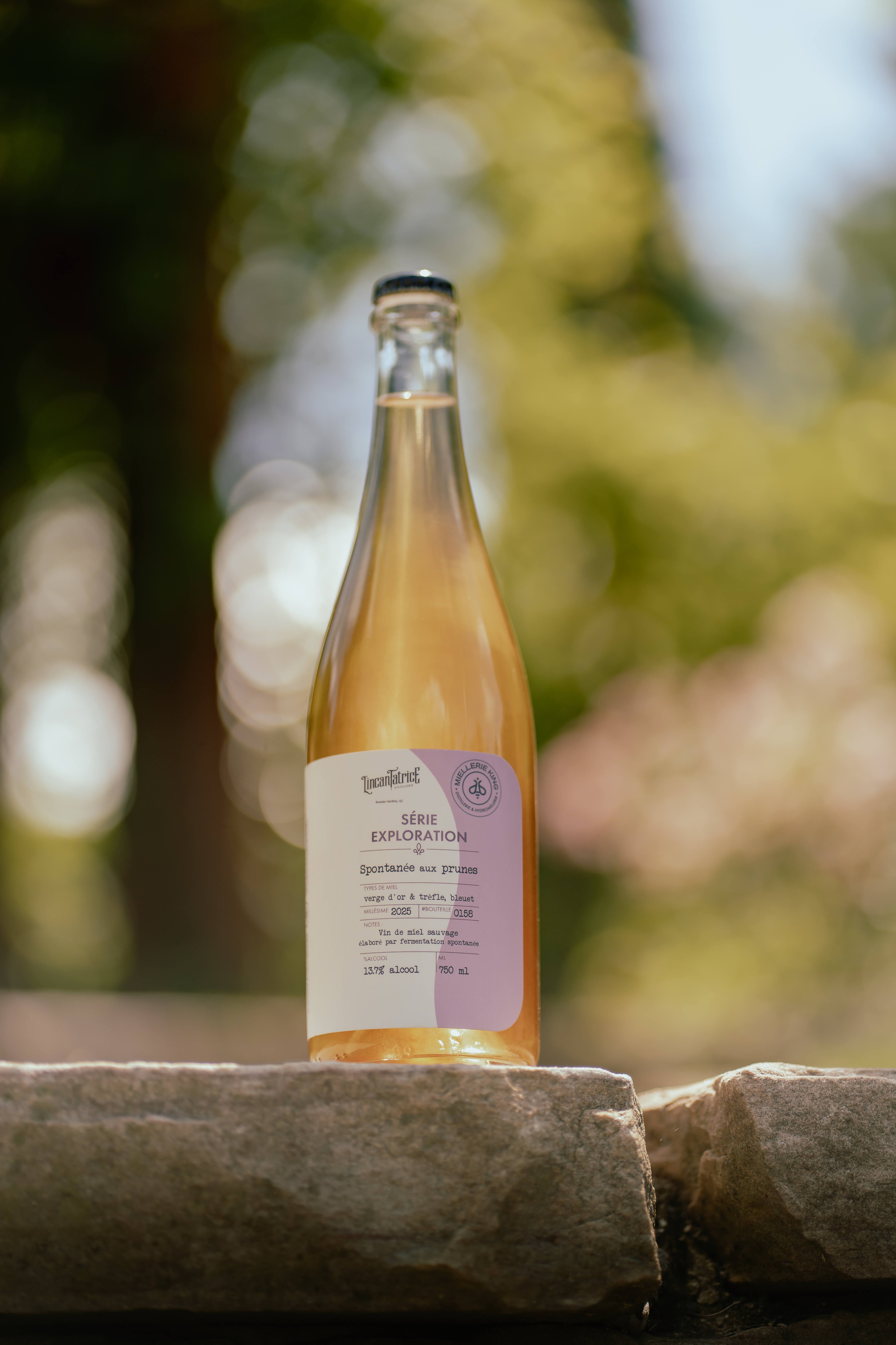 Vin de miel pet-nat Spontanée aux prunes