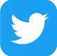 twitter (2).jpg