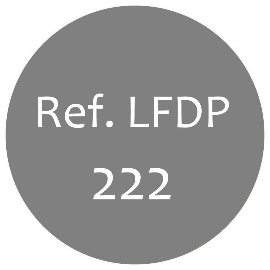 PERFUME MASCULINO - Granel, Nº 222