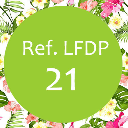 PERFUME FEMENINO - Granel, Nº21