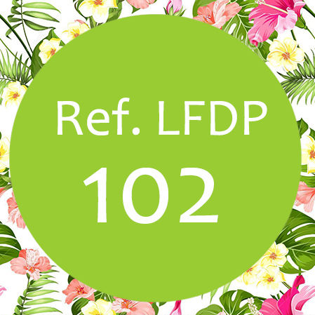 PERFUME FEMENINO - Granel, Nº 102