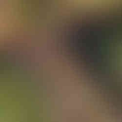 Altarschmuck zur Schwitzütte