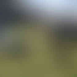 Schwitzhütten Ritual – Feuersteine, Rauch und Dankbarkeit