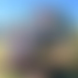 Altweibersommer - Schwitzhütte