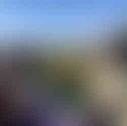 Gemeinschaft bei der Schwitzhütte im Altweibersommer