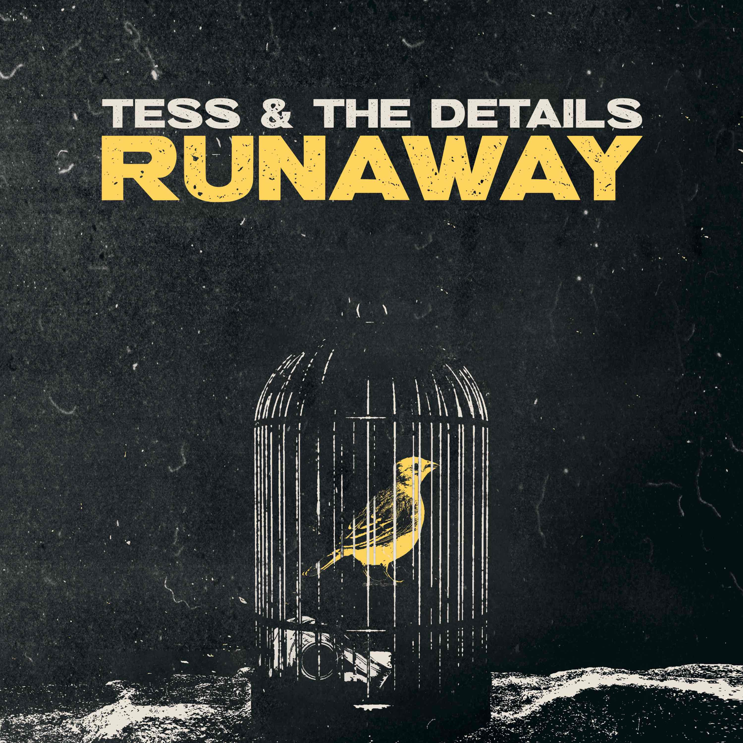 Tess & The Details - Runaway LP