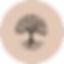 Group 272.png