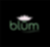 blum-green-1-black.png