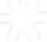 White asterisk symbol on black background, representing a symbol or marker.