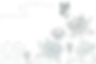5046514-removebg-preview.png
