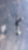 t6.jpg