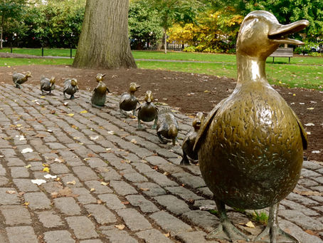 Brown students divided over “baby now or baby never”