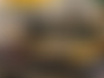 Freshman, Seniors Most Likely to Take Classes Out of Concentration