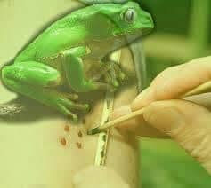 ree