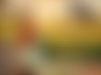 La birra Saison: Storia e Tradizione fino ai giorni Nostri