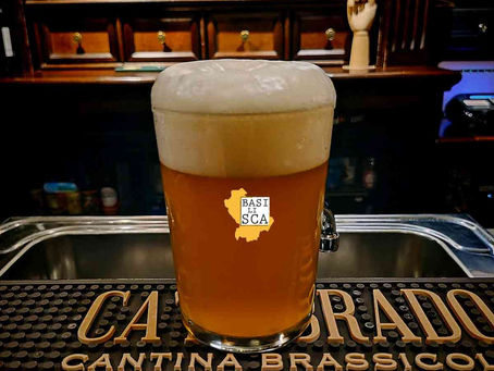 Il Viaggio della Birra: Dalla Materia Prima al Bicchier