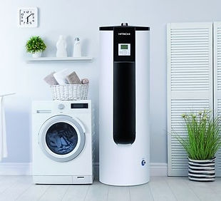 Buanderie composée d'un ballon thermodynamique ainsi qu'un lave-linge et plantes décoratives
