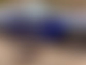 Milton PD K9 Red Receives Donated Bullet- and Stab-Protective Vest