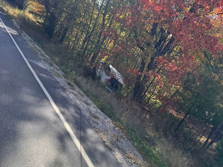 Car Strikes Tree in Wilton; One Person Transported