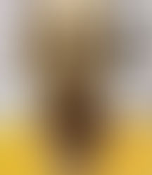 Limerick Maine Man Arrested After 152 MPH Stop on Route 25 in Effingham