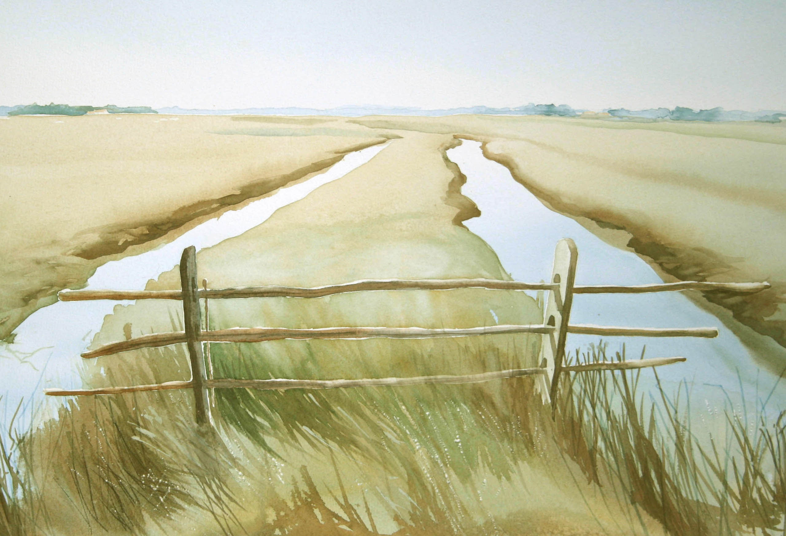 Marais de Notre Dame de Monts