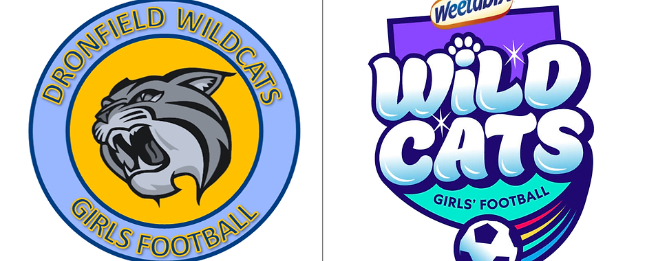 Weetabix wildcats page topper.png