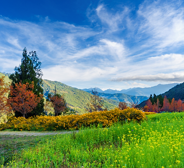武陵農場_Source: Tourism Administration, MOTC - Tri-mountain National Scenic Area