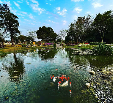 山上水道花園博物館-官方fb-2.jpg