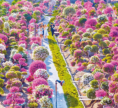 田尾公路花園-彰化縣政府