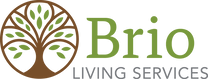 brio-logo.webp