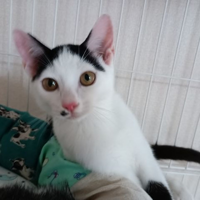 1602165997_43.jpg