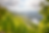 Weinberge-Mosel_132630380.png